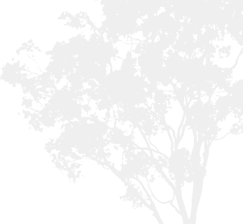 Baum