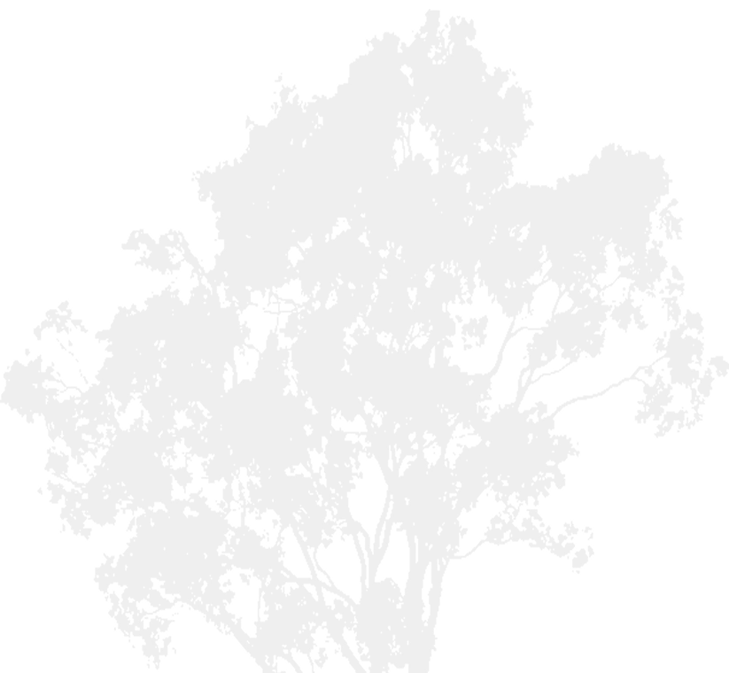 Baum